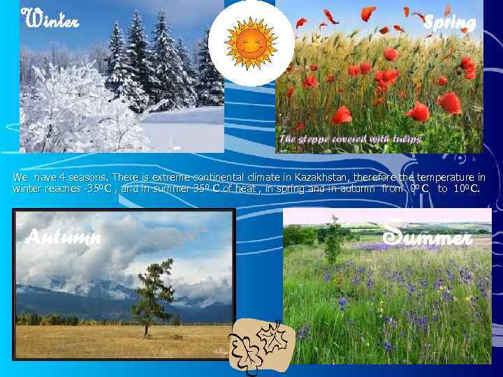 Winter Spring The steppe covered with tulips We have 4 seasons. There is extreme