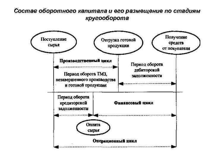 Состав оборотного капитала и его размещение по стадиям кругооборота 