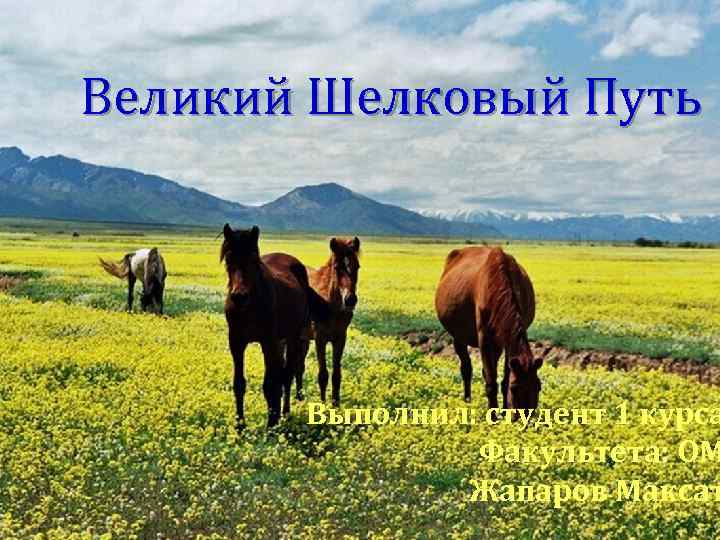 Великий Шелковый Путь Выполнил: студент 1 курса Факультета: ОМ Жапаров Максат 