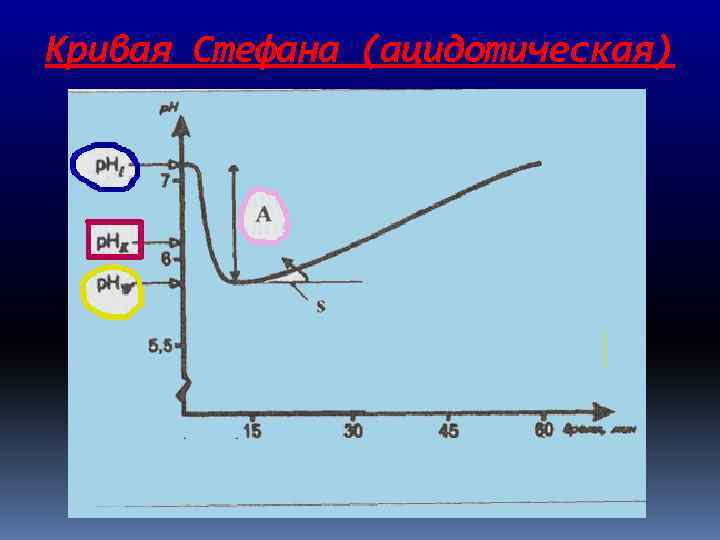 Кривая Стефана (ацидотическая) 