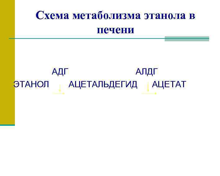 Схема метаболизма этанола в печени АДГ АЛДГ ЭТАНОЛ АЦЕТАЛЬДЕГИД АЦЕТАТ 