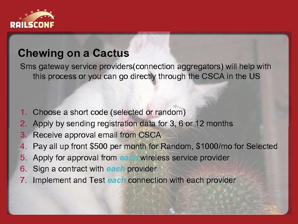 Chewing on a Cactus Sms gateway service providers(connection aggregators) will help with this process