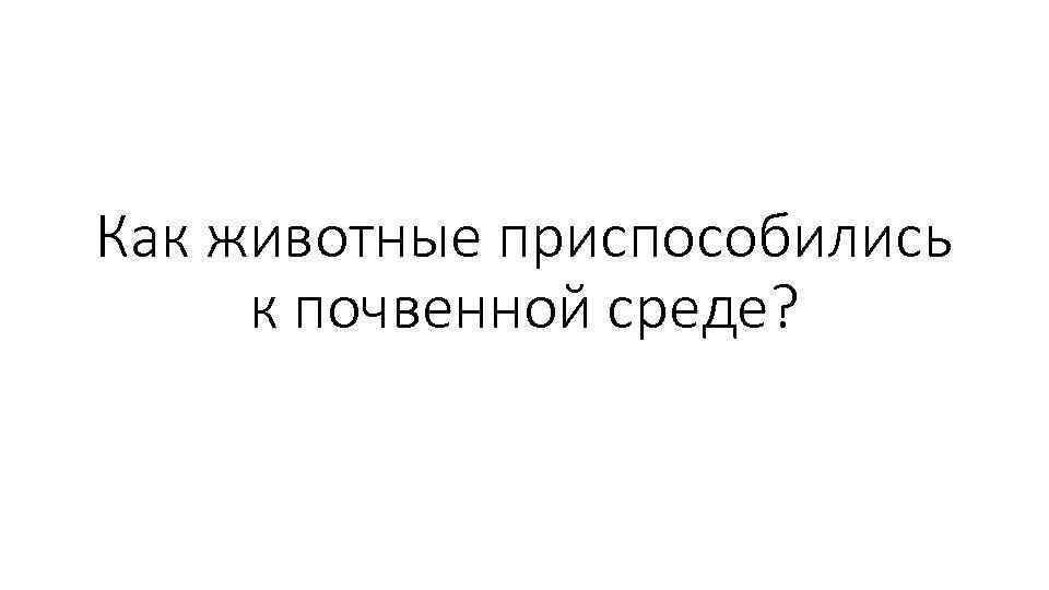 Как животные приспособились к почвенной среде? 