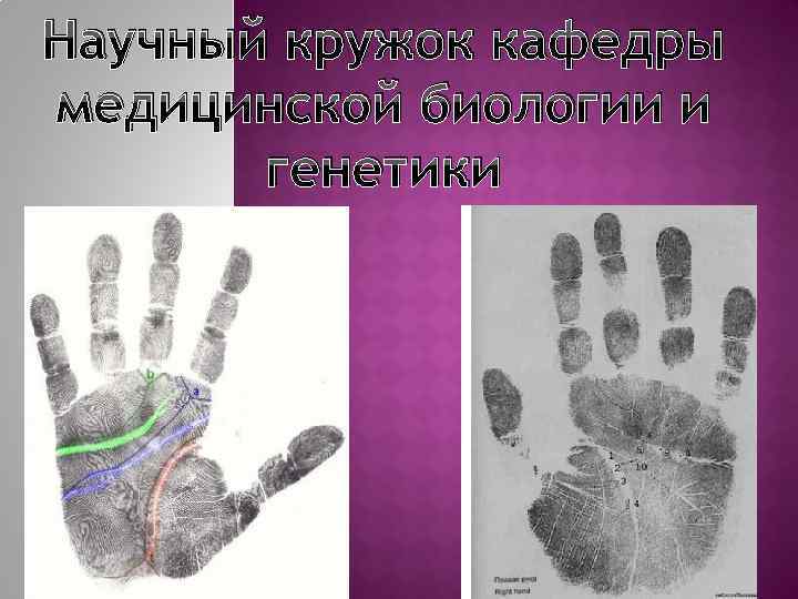 Научный кружок кафедры медицинской биологии и генетики 