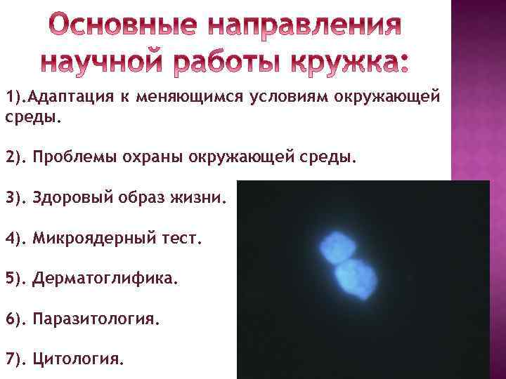 1). Адаптация к меняющимся условиям окружающей среды. 2). Проблемы охраны окружающей среды. 3). Здоровый