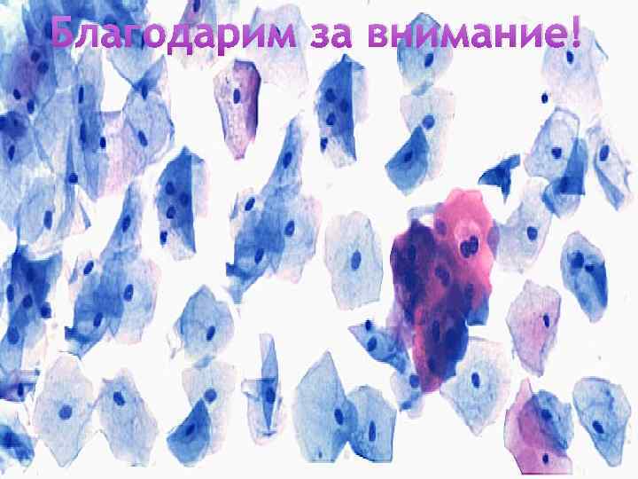 Благодарим за внимание! 