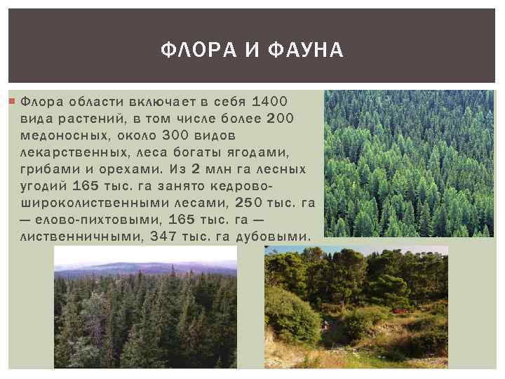 ФЛОРА И ФАУНА Флора области включает в себя 1400 вида растений, в том числе