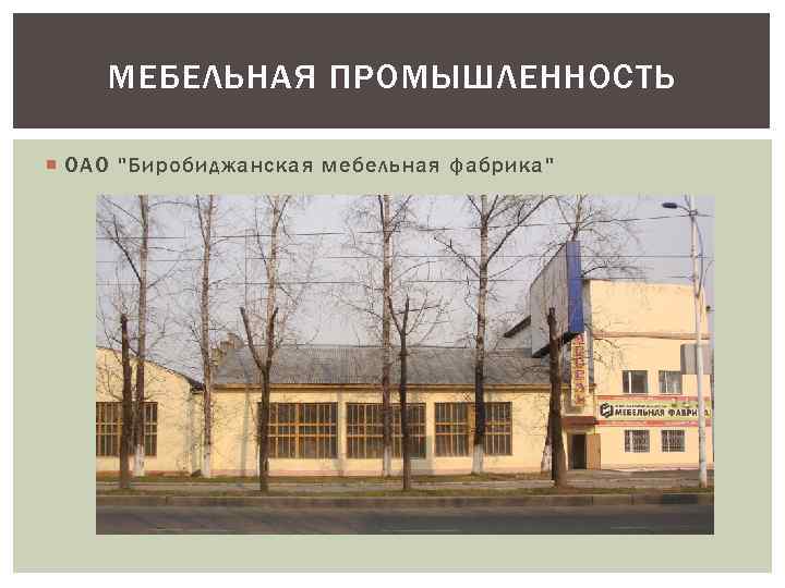 МЕБЕЛЬНАЯ ПРОМЫШЛЕННОСТЬ ОАО "Биробиджанская мебельная фабрика" 