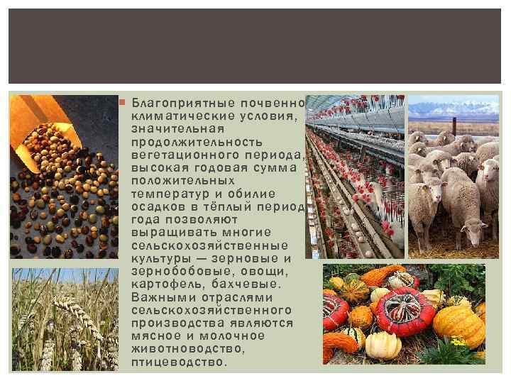  Благоприятные почвенноклиматические условия, значительная продолжительность вегетационного периода, высокая годовая сумма положительных температур и