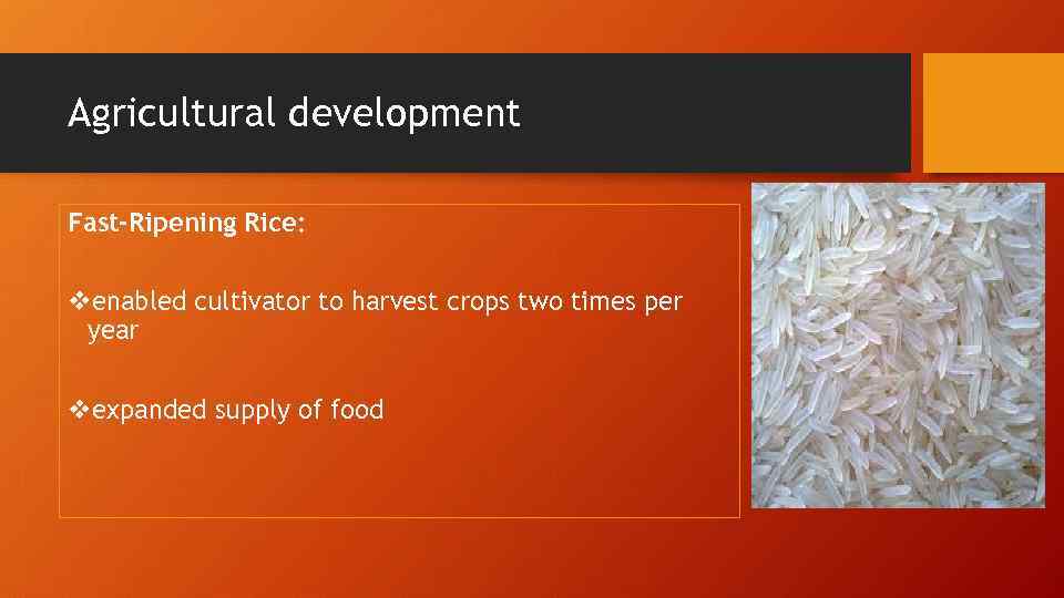 Agricultural development Fast-Ripening Rice: venabled cultivator to harvest crops two times per year vexpanded