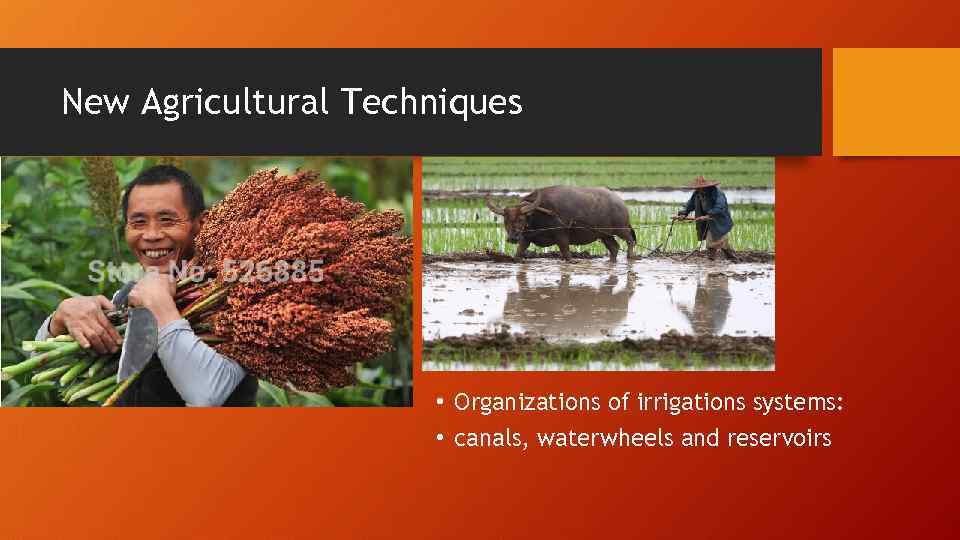 New Agricultural Techniques • Organizations of irrigations systems: • canals, waterwheels and reservoirs 