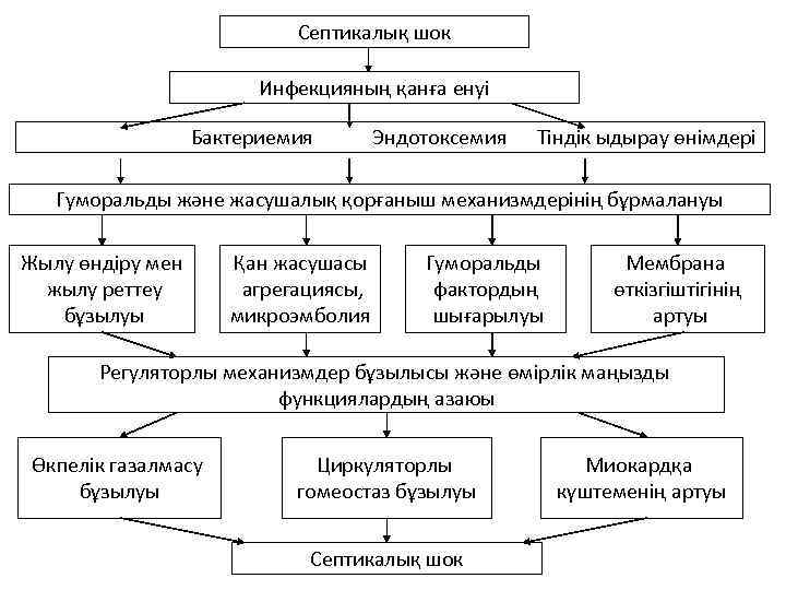 Септикалық шок Инфекцияның қанға енуі Бактериемия Эндотоксемия Тіндік ыдырау өнімдері Гуморальды және жасушалық қорғаныш