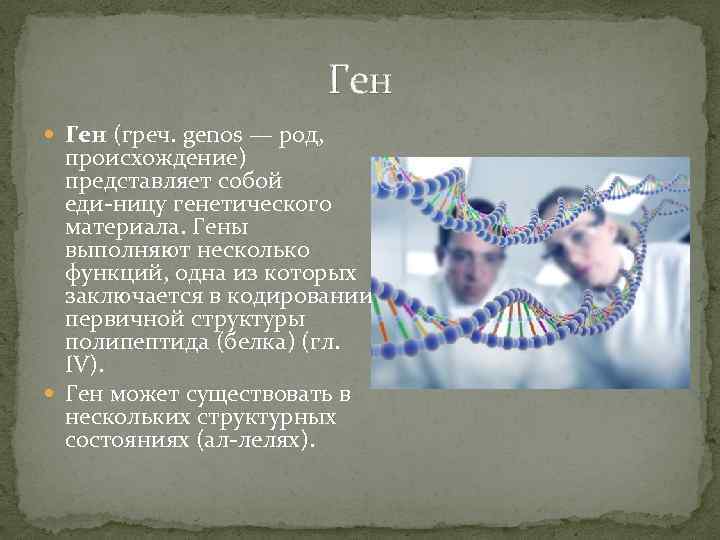 Ген (греч. genos — род, происхождение) представляет собой еди ницу генетического материала. Гены выполняют