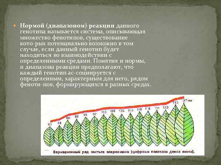  Нормой (диапазоном) реакции данного генотипа называется система, описывающая множество фенотипов, существование кото рых