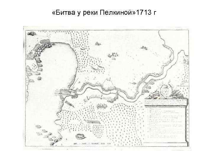  «Битва у реки Пелкиной» 1713 г 