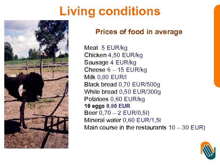 Living conditions Prices of food in average Meat 5 EUR/kg Chicken 4, 50 EUR/kg