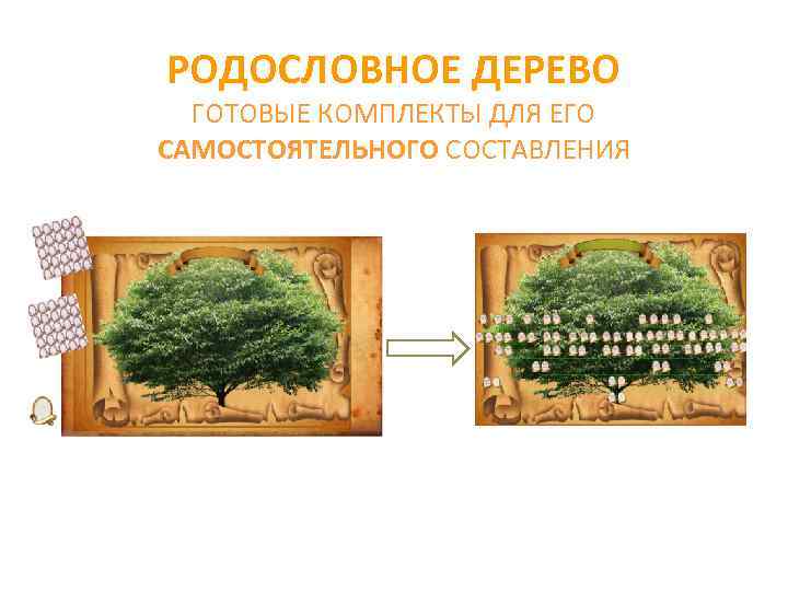 РОДОСЛОВНОЕ ДЕРЕВО ГОТОВЫЕ КОМПЛЕКТЫ ДЛЯ ЕГО САМОСТОЯТЕЛЬНОГО СОСТАВЛЕНИЯ 