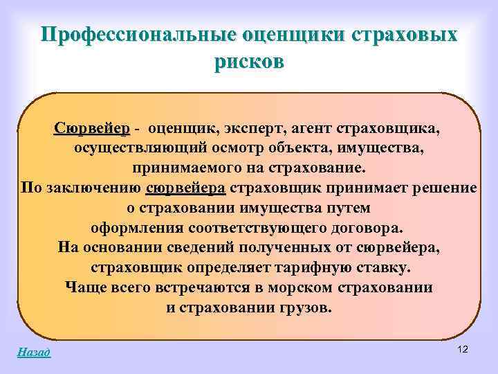 Профессиональные оценщики страховых рисков Сюрвейер - оценщик, эксперт, агент страховщика, осуществляющий осмотр объекта, имущества,