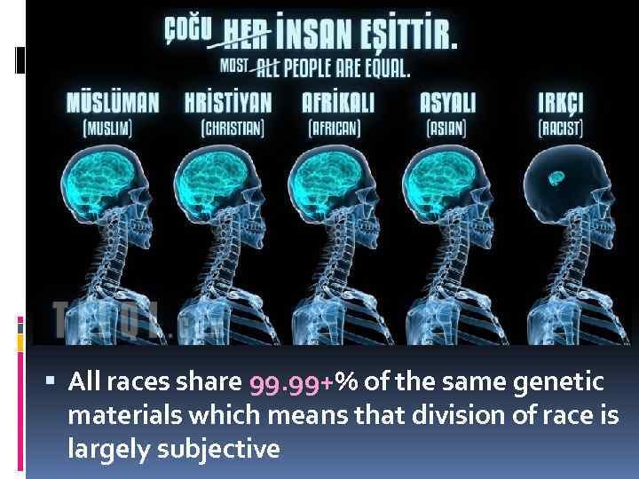  All races share 99. 99+% of the same genetic materials which means that