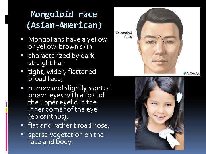 Mongoloid race (Asian-American) Mongolians have a yellow or yellow-brown skin. characterized by dark straight