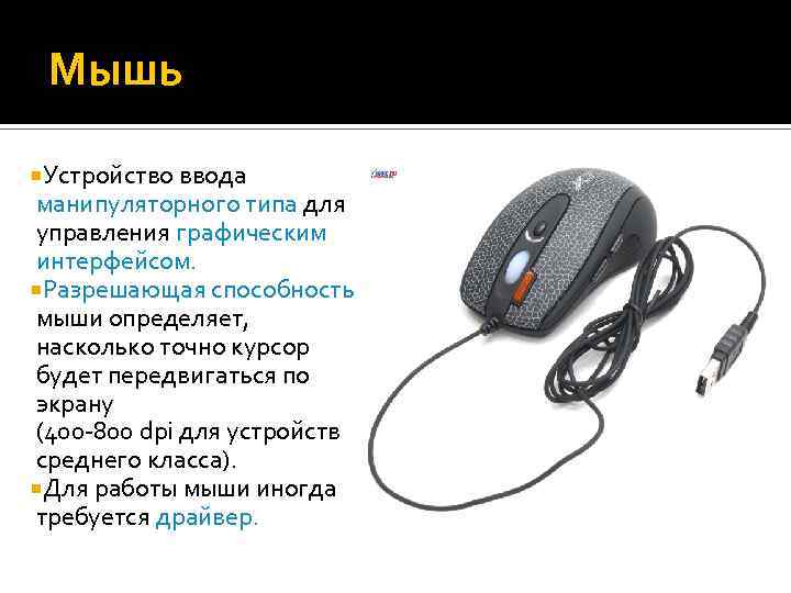 Мышь Устройство ввода манипуляторного типа для управления графическим интерфейсом. Разрешающая способность мыши определяет, насколько