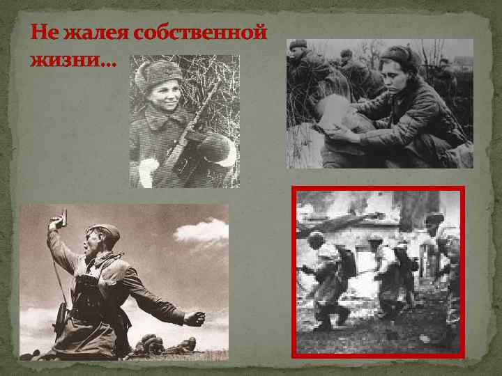 Не жалея собственной жизни… 