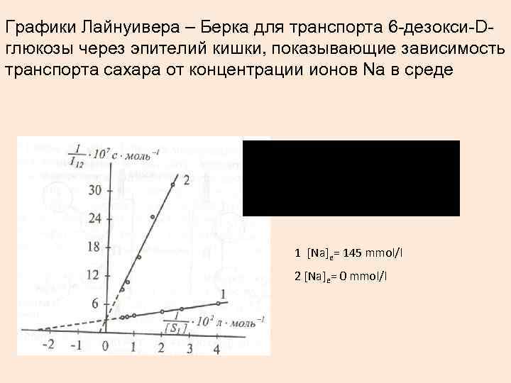 Графики Лайнуивера – Берка для транспорта 6 -дезокси-Dглюкозы через эпителий кишки, показывающие зависимость транспорта