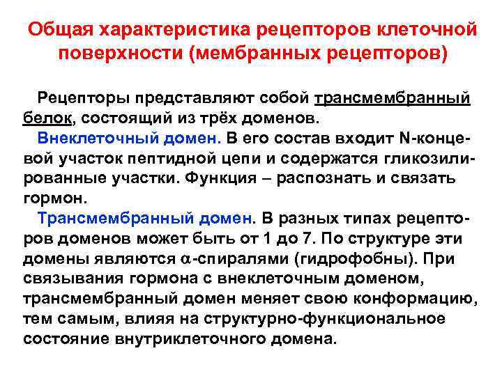 Общая характеристика рецепторов клеточной поверхности (мембранных рецепторов) Рецепторы представляют собой трансмембранный белок, состоящий из