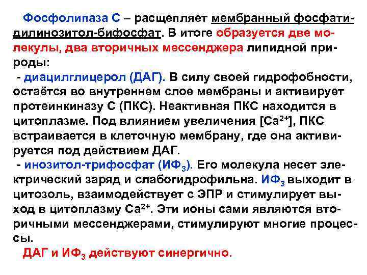 Фосфолипаза С – расщепляет мембранный фосфатидилинозитол-бифосфат. В итоге образуется две молекулы, два вторичных