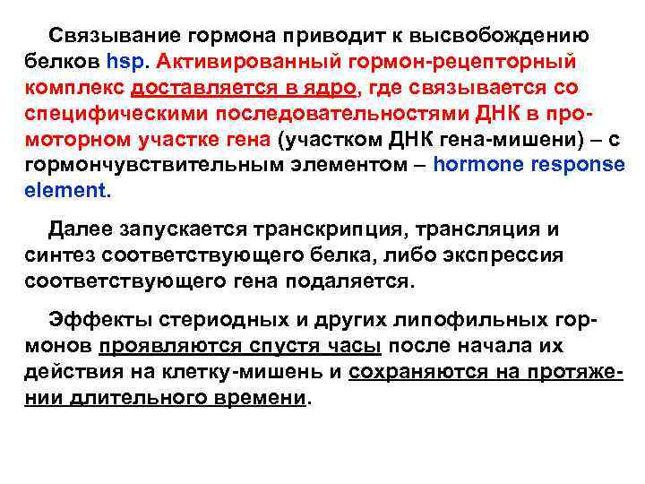  Связывание гормона приводит к высвобождению белков hsp. Активированный гормон-рецепторный комплекс доставляется в ядро,
