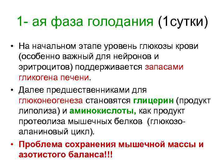 1 - ая фаза голодания (1 сутки) • На начальном этапе уровень глюкозы крови