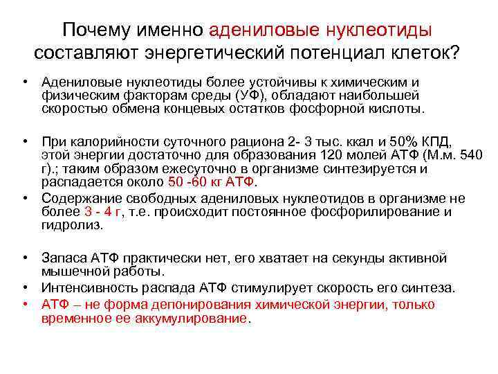Почему именно адениловые нуклеотиды составляют энергетический потенциал клеток? • Адениловые нуклеотиды более устойчивы к
