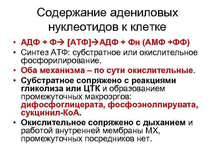Содержание адениловых нуклеотидов к клетке • АДФ + Ф [АТФ] АДФ + Фн (АМФ