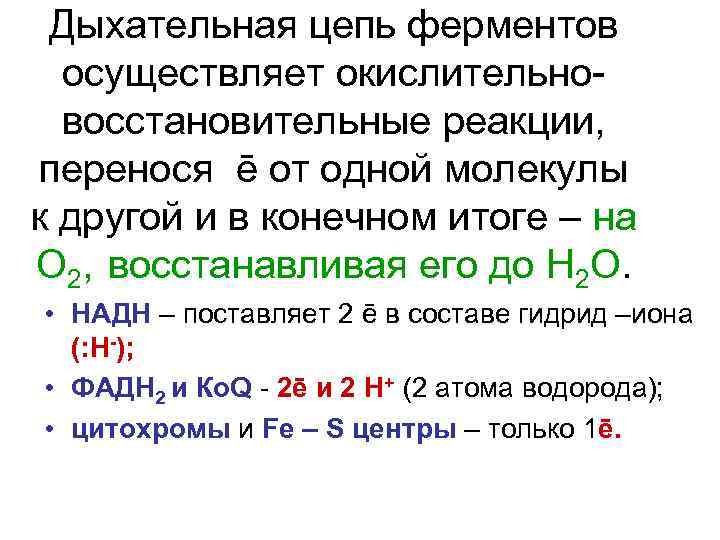 Дыхательная цепь ферментов осуществляет окислительновосстановительные реакции, перенося ē от одной молекулы к другой и