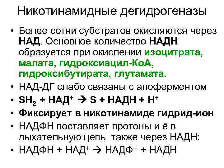 Никотинамидные дегидрогеназы • Более сотни субстратов окисляются через НАД. Основное количество НАДН образуется при