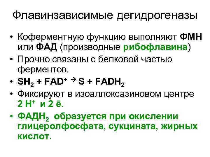 Флавинзависимые дегидрогеназы • Коферментную функцию выполняют ФМН или ФАД (производные рибофлавина) • Прочно связаны