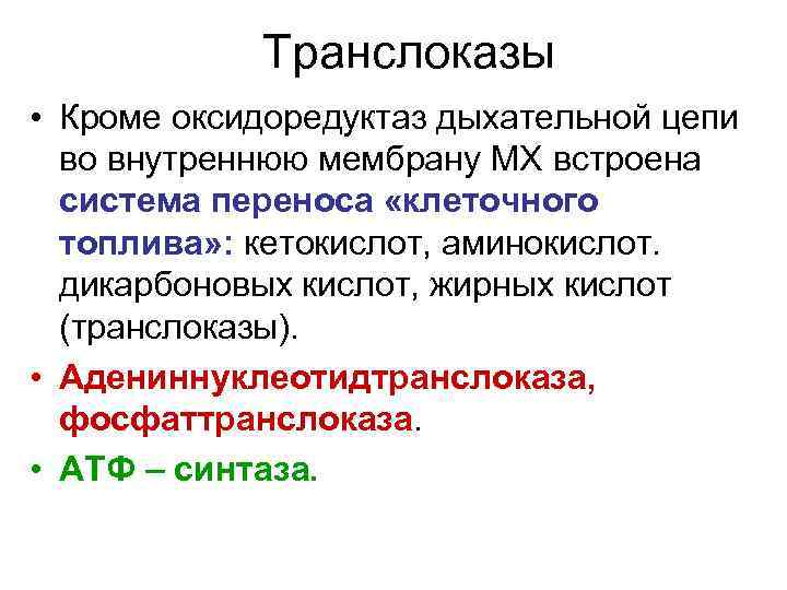 Транслоказы • Кроме оксидоредуктаз дыхательной цепи во внутреннюю мембрану МХ встроена система переноса «клеточного