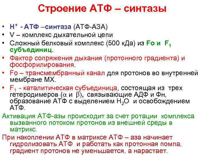 Строение АТФ – синтазы • Н+ - АТФ –синтаза (АТФ-АЗА) • V – комплекс