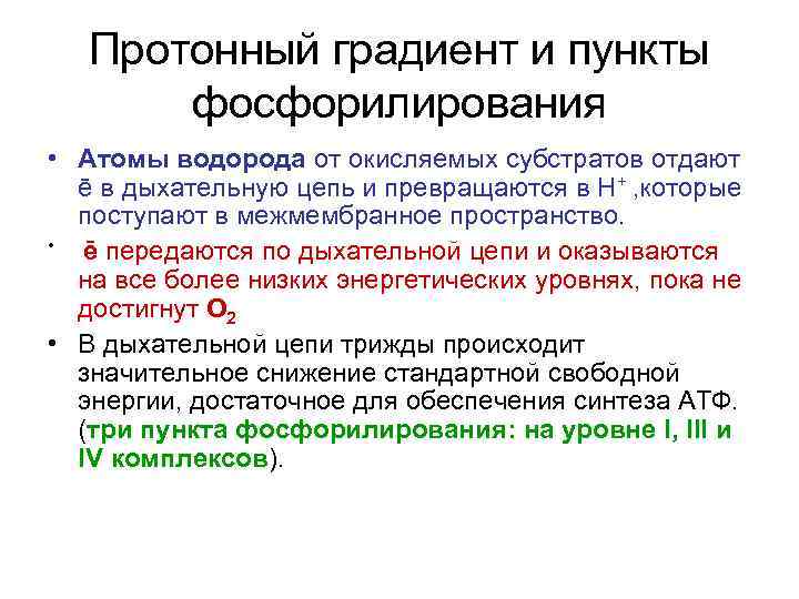 Протонный градиент и пункты фосфорилирования • Атомы водорода от окисляемых субстратов отдают ē в
