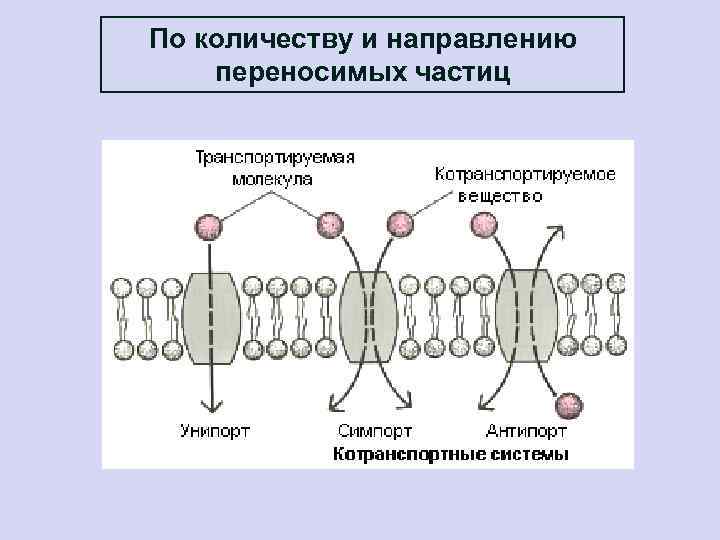 По количеству и направлению переносимых частиц 