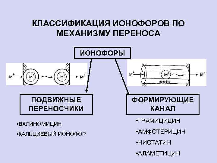 КЛАССИФИКАЦИЯ ИОНОФОРОВ ПО МЕХАНИЗМУ ПЕРЕНОСА ИОНОФОРЫ ПОДВИЖНЫЕ ПЕРЕНОСЧИКИ • ВАЛИНОМИЦИН • КАЛЬЦИЕВЫЙ ИОНОФОР ФОРМИРУЮЩИЕ