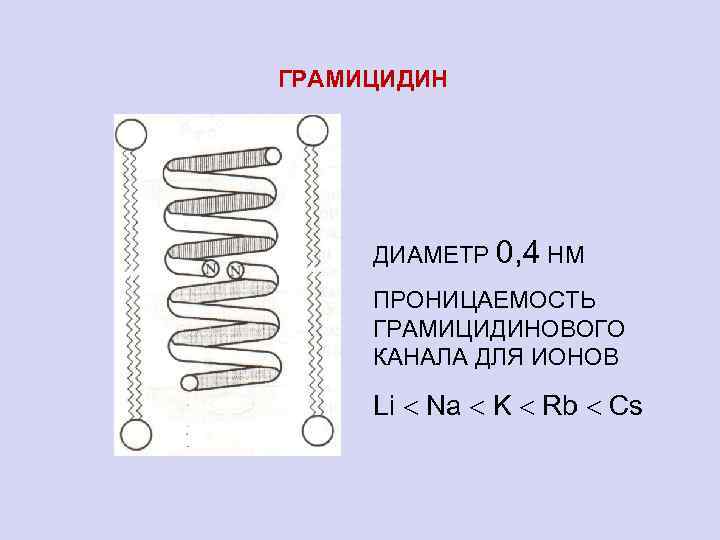 ГРАМИЦИДИН ДИАМЕТР 0, 4 НМ ПРОНИЦАЕМОСТЬ ГРАМИЦИДИНОВОГО КАНАЛА ДЛЯ ИОНОВ Li Na K Rb