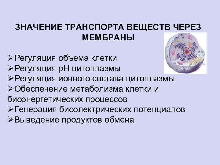 ЗНАЧЕНИЕ ТРАНСПОРТА ВЕЩЕСТВ ЧЕРЕЗ МЕМБРАНЫ ØРегуляция объема клетки ØРегуляция р. Н цитоплазмы ØРегуляция ионного