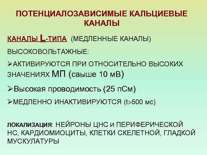 ПОТЕНЦИАЛОЗАВИСИМЫЕ КАЛЬЦИЕВЫЕ КАНАЛЫ L-ТИПА (МЕДЛЕННЫЕ КАНАЛЫ) ВЫСОКОВОЛЬТАЖНЫЕ: ØАКТИВИРУЮТСЯ ПРИ ОТНОСИТЕЛЬНО ВЫСОКИХ ЗНАЧЕНИЯХ МП (свыше