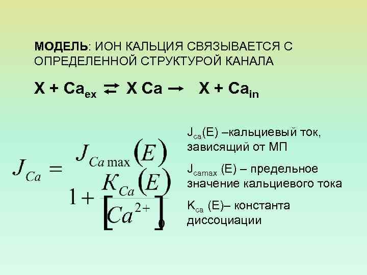 МОДЕЛЬ: ИОН КАЛЬЦИЯ СВЯЗЫВАЕТСЯ С ОПРЕДЕЛЕННОЙ СТРУКТУРОЙ КАНАЛА X + Caex X Ca X