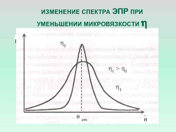 ИЗМЕНЕНИЕ СПЕКТРА ЭПР ПРИ УМЕНЬШЕНИИ МИКРОВЯЗКОСТИ I Н Н 