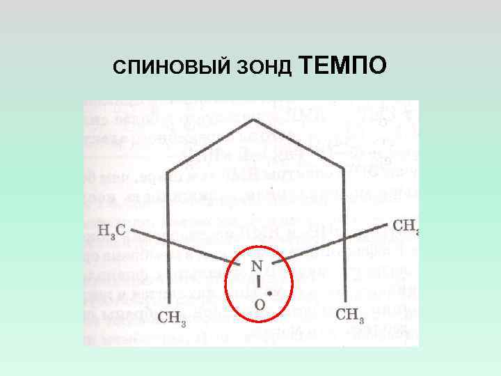 СПИНОВЫЙ ЗОНД ТЕМПО 