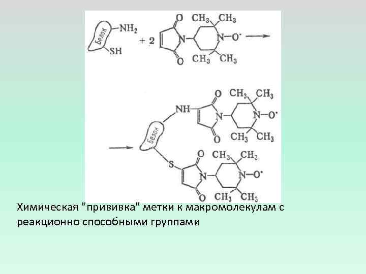 Химическая 