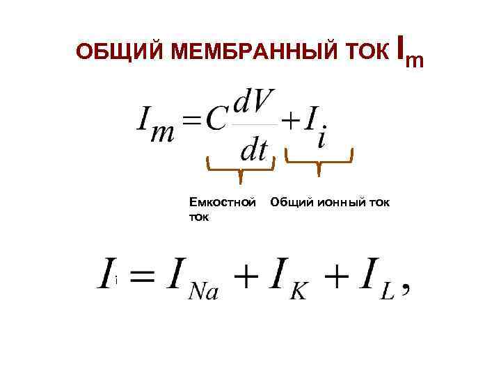 ОБЩИЙ МЕМБРАННЫЙ ТОК Im Емкостной Общий ионный ток ток i 