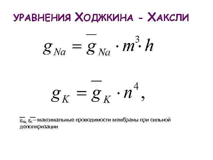 УРАВНЕНИЯ ХОДЖКИНА - ХАКСЛИ g. Na, g. K – максимальные проводимости мембраны при сильной